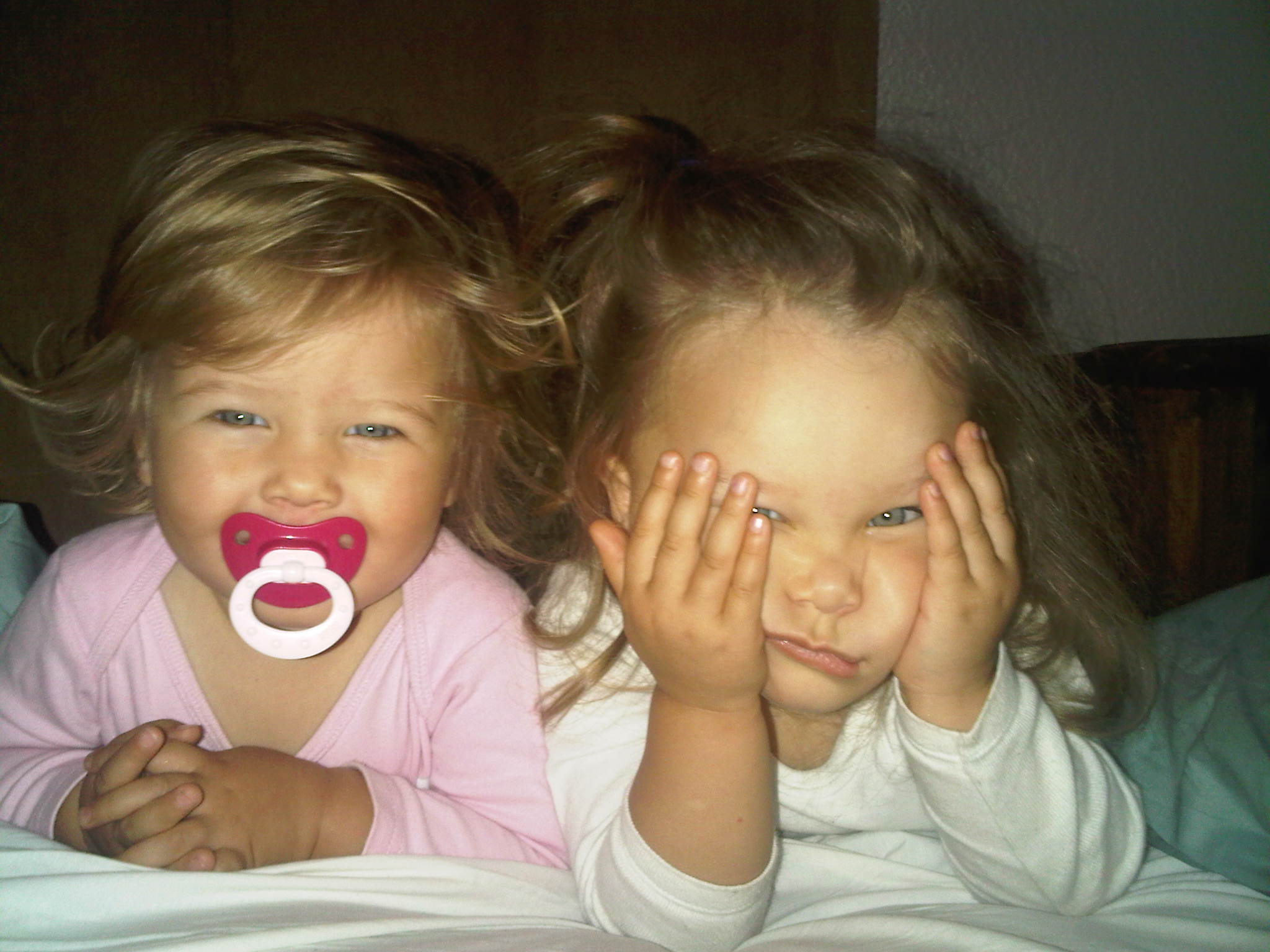 IMG01485-20111208-0722