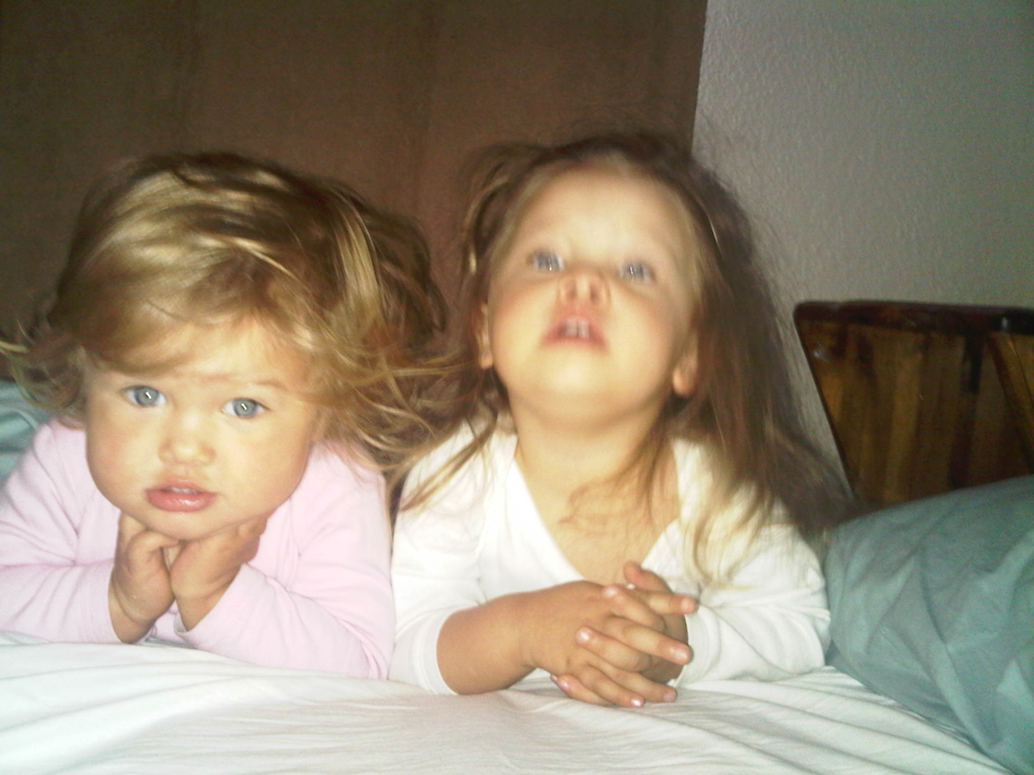 IMG01487-20111208-0722