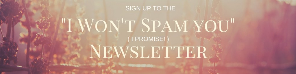 -I Won't Spam you- Newsletter