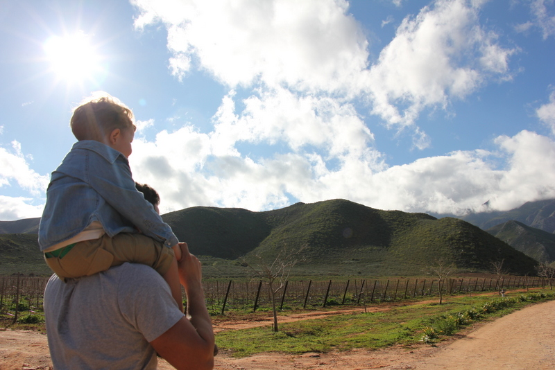 Robertson - Orange Grove Farm